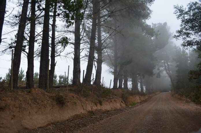 Archivo Referencial: Ruta J-790 Camino a Boyeruca